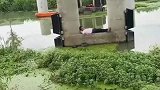 躺在桥墩下钓鱼，最高境界愿者上钩