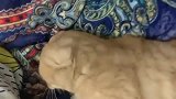 橘猫：下晚班，还敢吓唬我，我也有自己的脾气滴