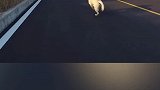 爱情看吧，想见你的人总是有办法的