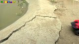 三辆吉普车寻找下蛋公鸡鳄鱼玩具