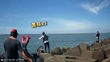 矶钓，肉粽区钓鱼，大咬狂拉，海钓场的感觉