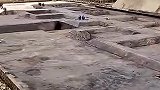 这操作还有谁