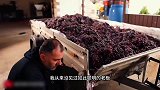 采摘的酸葡萄，做成葡萄酒，滋味细腻