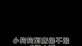 偶尔听话，持续性叛逆