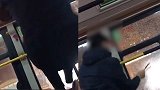 奇葩！哈尔滨一公交车堵车20分钟 男子下车被拒后拿锤子砸窗