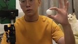 猫咪：我这主人恐怕得去医院了，好像有病的样子