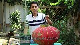 养花小伙又有大动作，拿旧灯笼改造花球，成品壮观吗