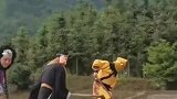 师徒四人化身“新农人”田间耕地、插秧
