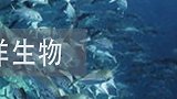 未知生物难道是来自外星的生物？