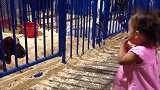 宝宝看到猫咪跳到桌子上，接下来宝宝的反应太可爱了