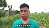 我被查出不育症，老婆却怀孕，孩子出生，我的举动让自己悔恨终生
