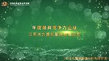 2021年度最具竞争力企业江苏东方盛虹股份有限公司