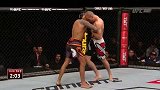 UFC-15年-UFC Fight Night 67副赛：次中量级杜特尔vs布里斯集锦-精华