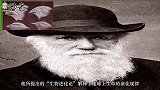 进化论存在漏洞？达尔文无法解释生物大爆炸，“意识体”却能解释