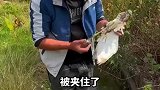 现实版鹬蚌相争，男子路过解救