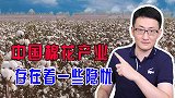 中国棉花产量居世界第二，却不能满足国内需要，只能靠大量进口