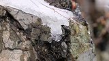 北国四月春：冰河欢唱、野鸭戏水、枝条吐露新的生机