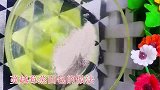 面粉别蒸馒头，教你做蒸面包，做法简单易学，蓬松暄软！