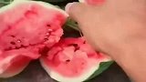这是什么品种的西瓜，轻轻一弹就炸了，看上去太诱人了。