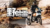 野哈雷泛美测评 秘技加持！｜照摩镜