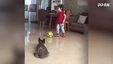 伊朗足球小子阿拉特终于有伴！戏耍家中爱犬太喜感
