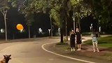 网友偶遇小狗，路边玩气球