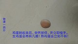 按停一下，生鸡蛋会继续转！好神奇！什么物理原理