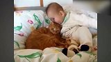 小猫和宝宝坐在床上，依偎在一起，真是温馨！