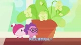 瑞奇宝宝在家种植物,随时感受鸟语花香,大自然的感觉哦！