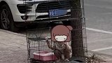浙江一3岁女童当街被囚笼内？警方:自行钻入