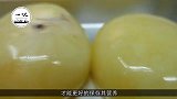 日本人有多爱吃海鲜？生吃章鱼卵，网友直呼看着就没胃口！