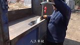 大山里黑木耳要下地，大雷家人带俩只狗去干活，妈妈开车爷俩卸车