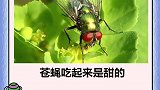 超有趣的动物冷知识