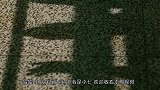 奚梦瑶520独守上海，何猷君回澳门陪四太，两人隔空秀恩爱