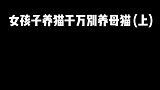 女生不能养母猫的原因，要么一辈子单身，要么一辈子醋王！