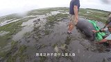 众人聚集在岸边，围观搁浅“美人鱼”，男子看后道出真相！