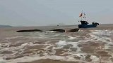 一头10米长的鲸鱼搁浅，背部、尾部已经露出海面！