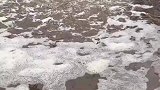 原来瞎起哄就是这样来的