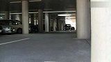 本田豪华大面车库闲逛为哪般