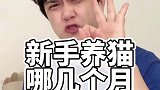 新手养猫哪几个月最难带？