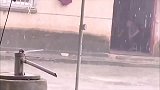 我家的鸡怎么了