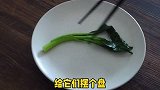 广东名菜白灼菜心，天气热了，要吃点清爽开胃的