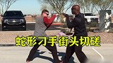 老外爱上中国功夫，练起蛇形刁手，在街头切磋对练