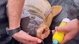 钓鱼后先救鱼，不带瓶消毒水，都不好意思出来钓鱼