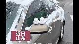 大雪后车上放满了鸭子，车主：谢谢小朋友们的祝福鸭