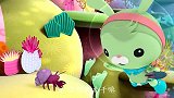 海底小纵队：小寄居蟹不希望皮医生破坏大寄居蟹的壳