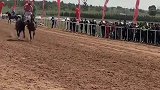 骏马奔驰保边疆，马背上的民族英雄