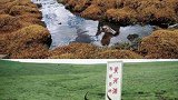 黄河的源头早已被发现，仅有碗口大小，却为何不允许人们出入！真的不能再拖了  3M乐享生活