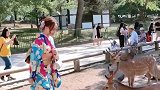 出国旅行你一定不能做的事情，不然小心回不来！