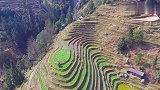 贵州梯田独一无二，看梯田来贵州，保证你不虚此行